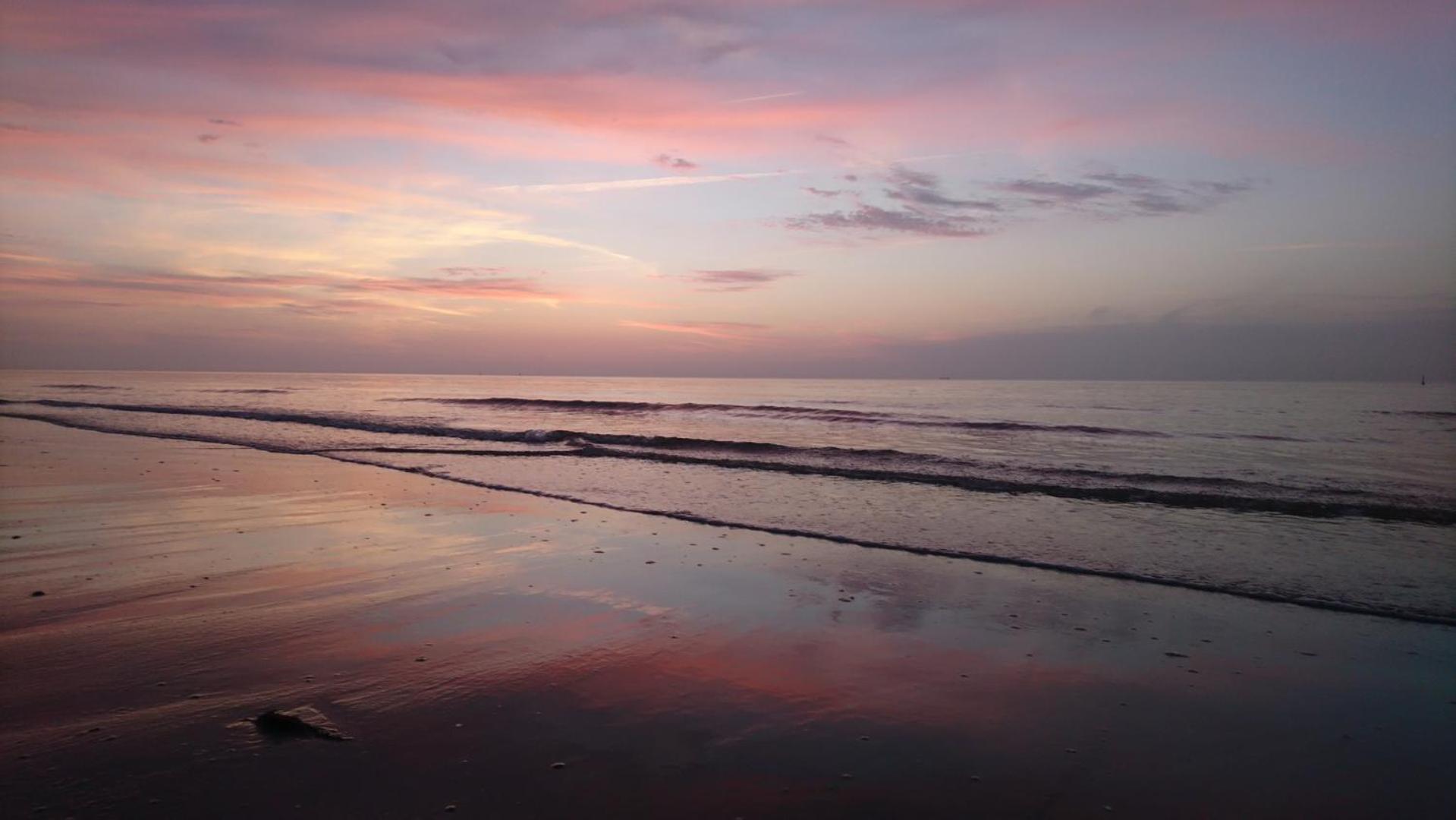 Haus Seeigel Stranddistel Norderney Dış mekan fotoğraf
